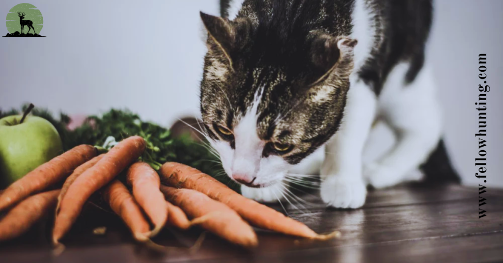 The Carrot Controversy in Cats