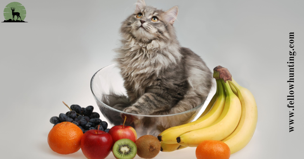 Understanding a Cat's Dietary Needs